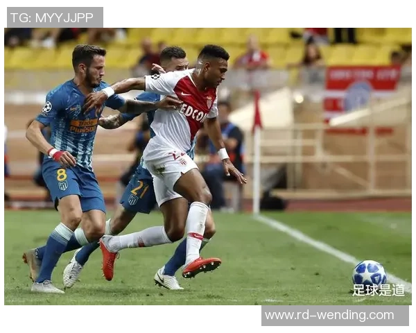 欧冠波尔图对尤文图斯比赛主裁判的执法表现分析与讨论