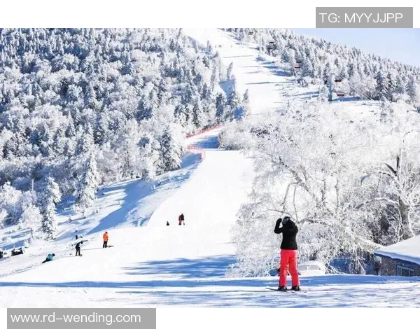 3个滑雪场一起开板！延边州5大滑雪场团体迎客~
